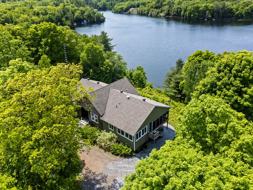 32 Forest Breeze