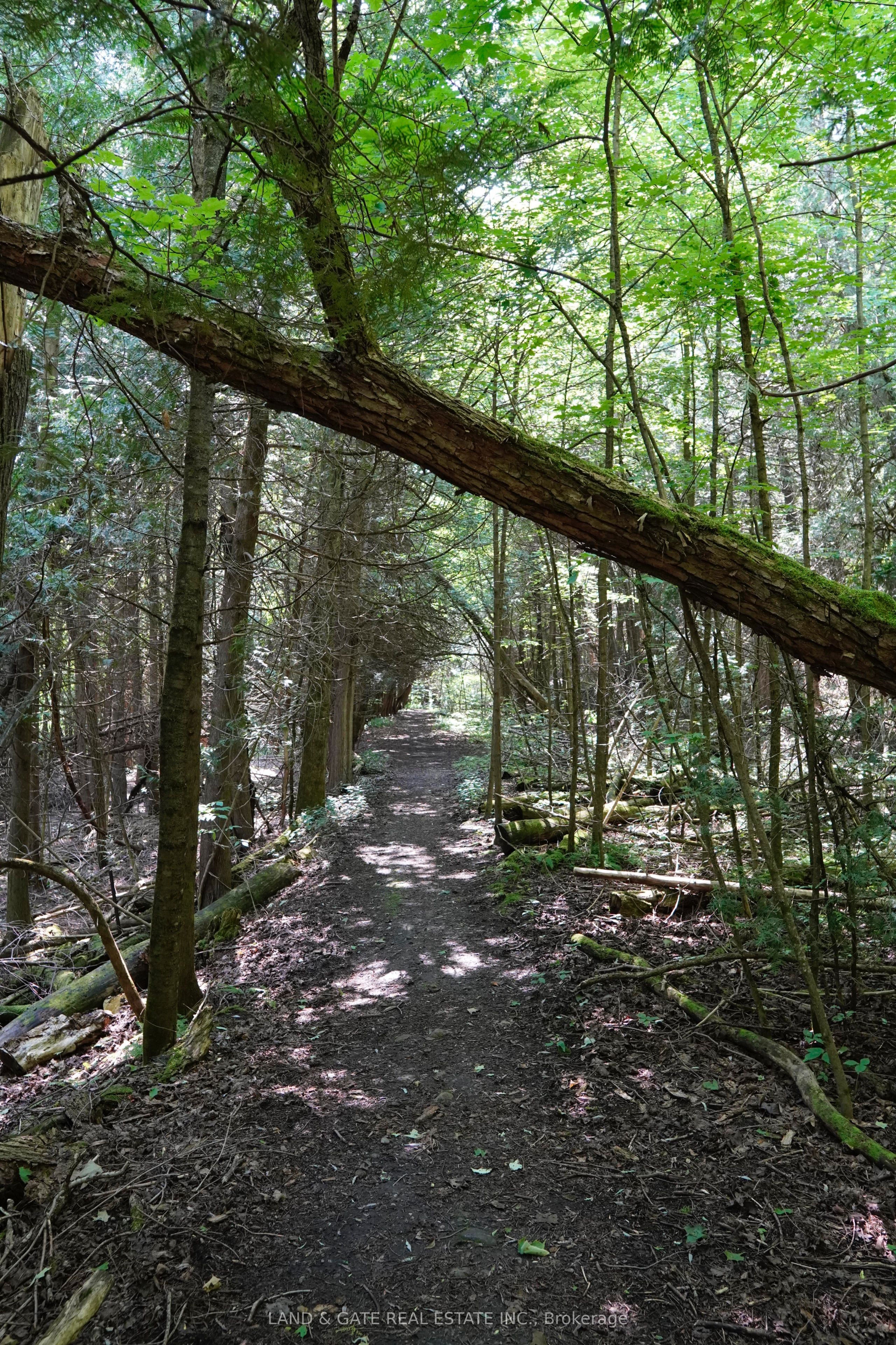 9015 Mosport Road, Clarington, ON L0B 1M0