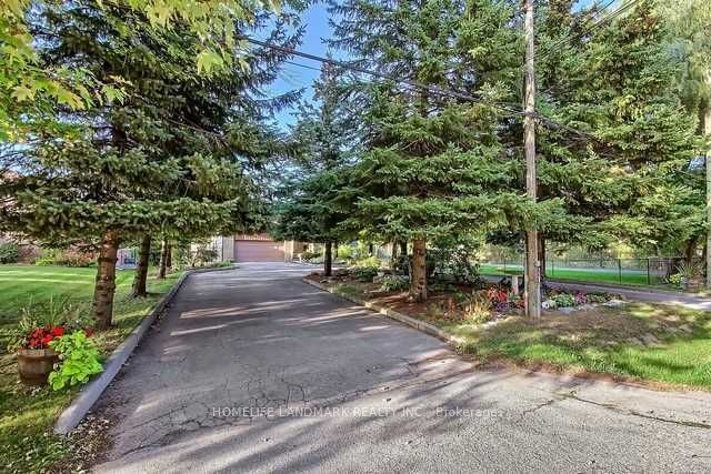 10 Maple Grove