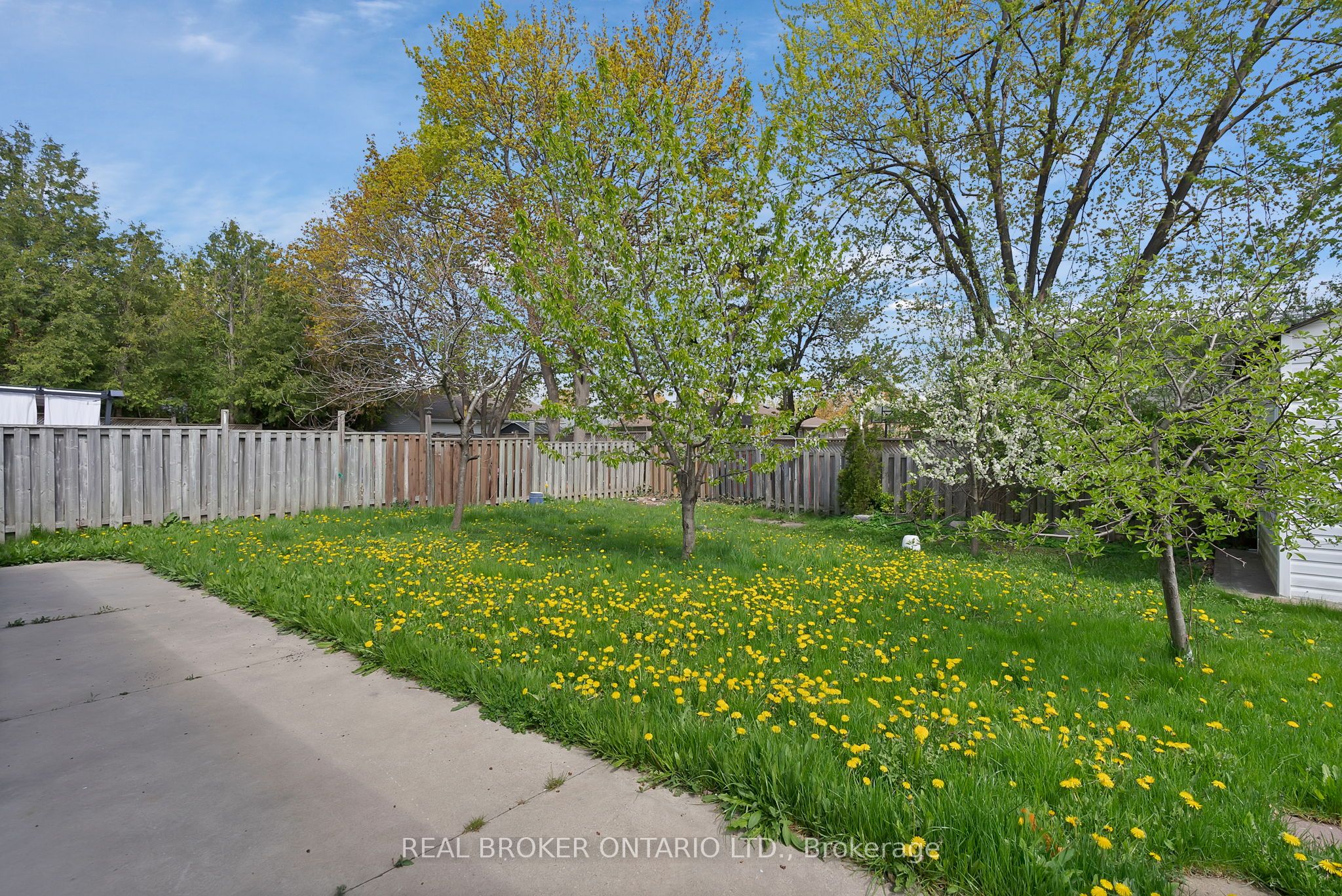 251 Vodden Street E, #Main Fl