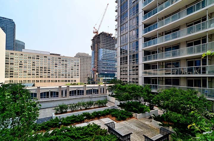761 Bay Street 3413