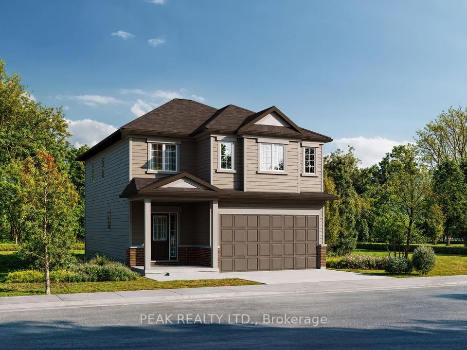 553 Balsam Poplar