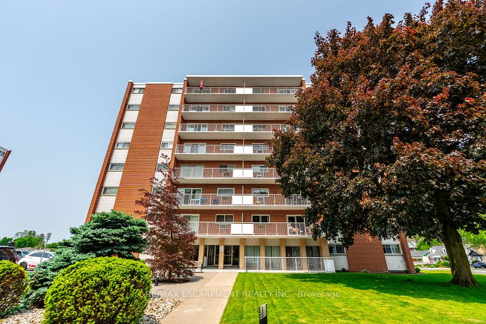 8 Woodman