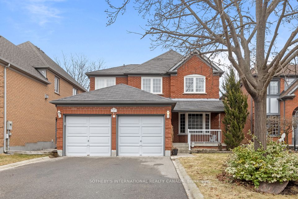 52 Red Cedar