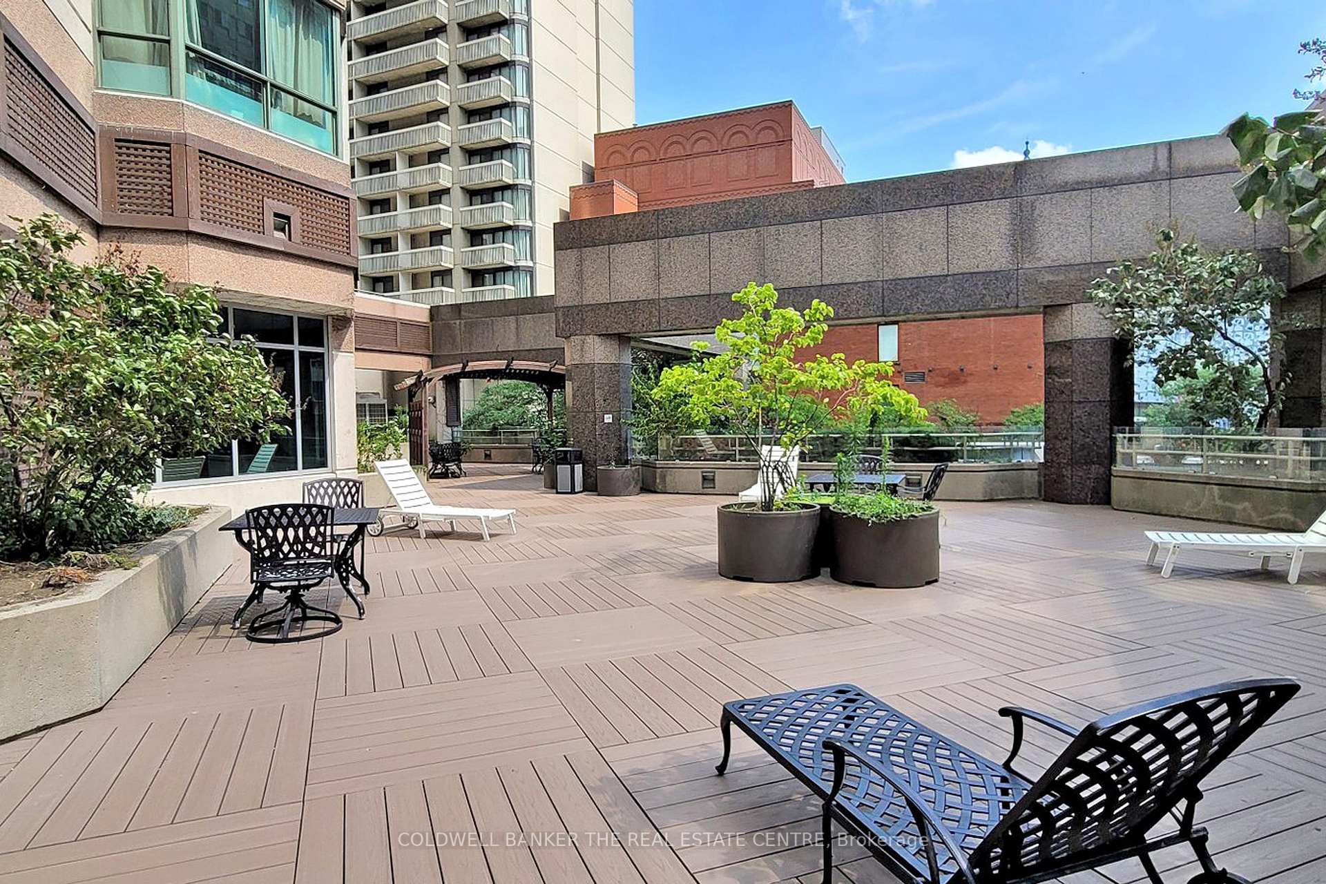 1 Bedroom Condo at 38 Elm, Toronto For sale