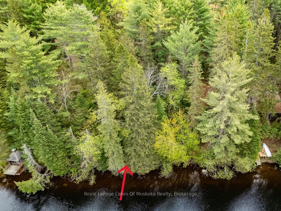 645 Balsam Chutes