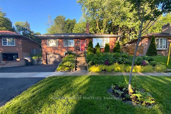 37 Meadowland