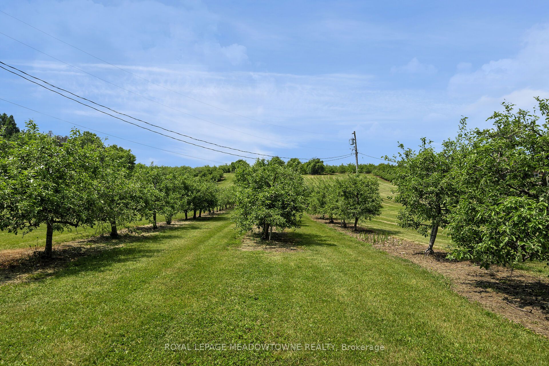 1453 Milburough Line