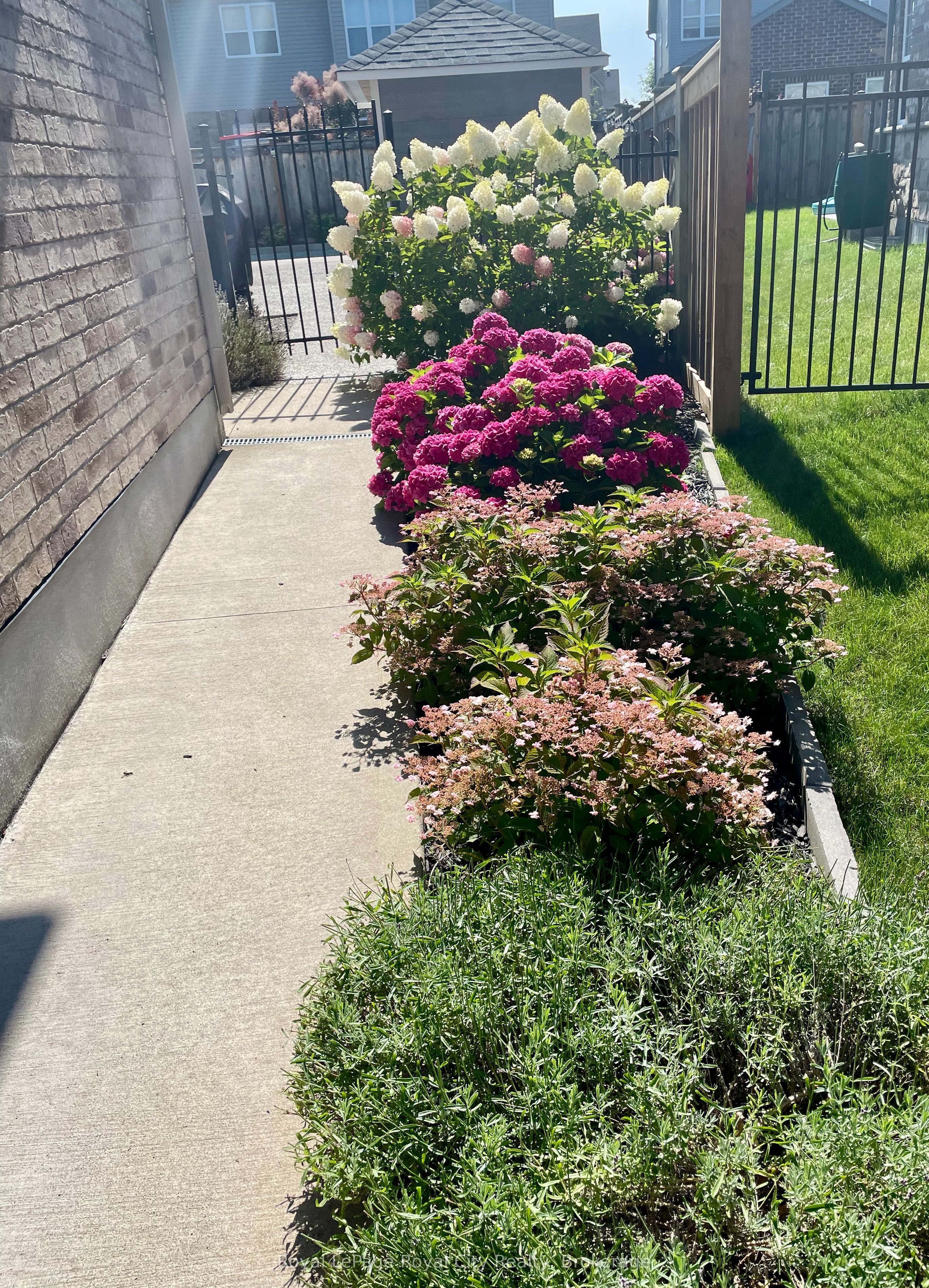 213 Tremaine Crescent