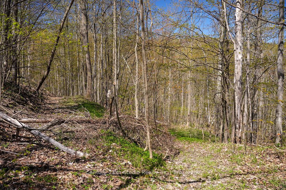 589901 Grey Road 19