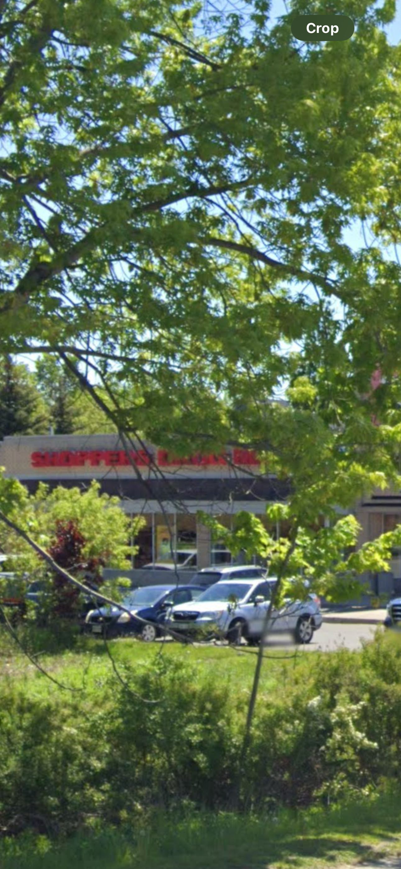 20927 Dalton Road Georgina Ontario L0E 1R0