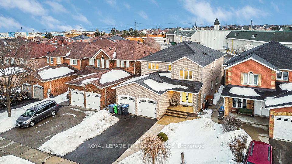 226 Mountainberry