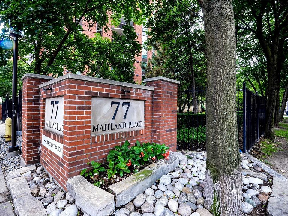 77 Maitland