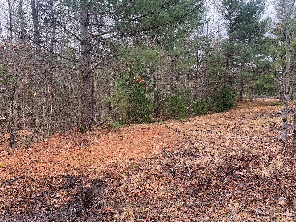 00 Bordenwood, Central Frontenac, ON K0H 1B0