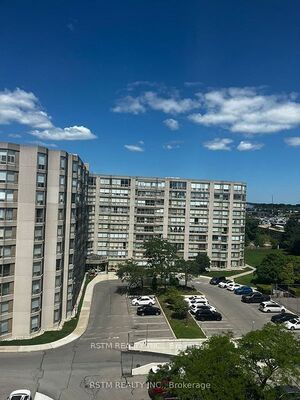 175 Cedar