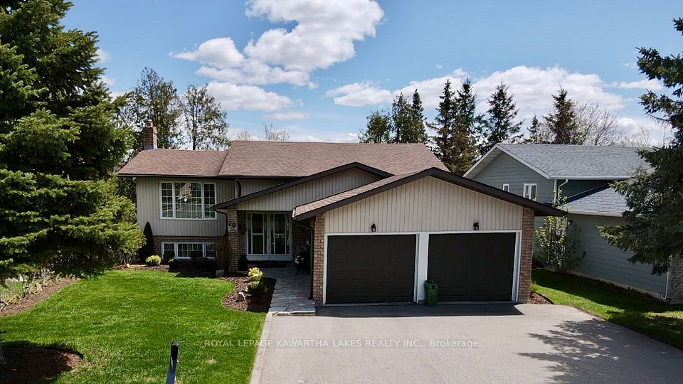 20 Cedartree