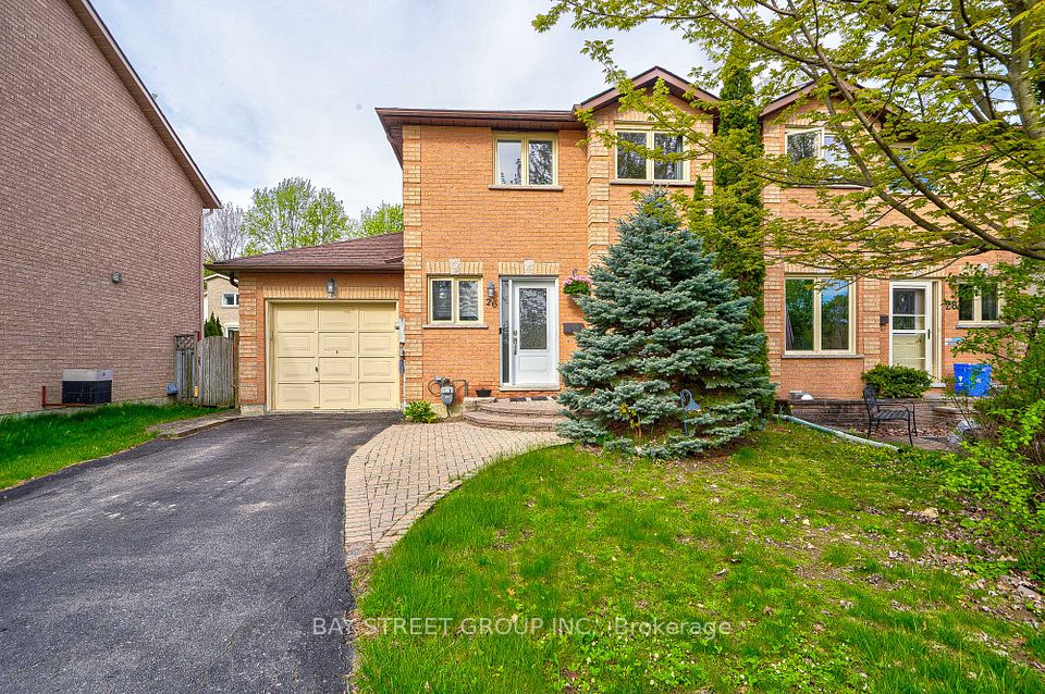 26 Cypress