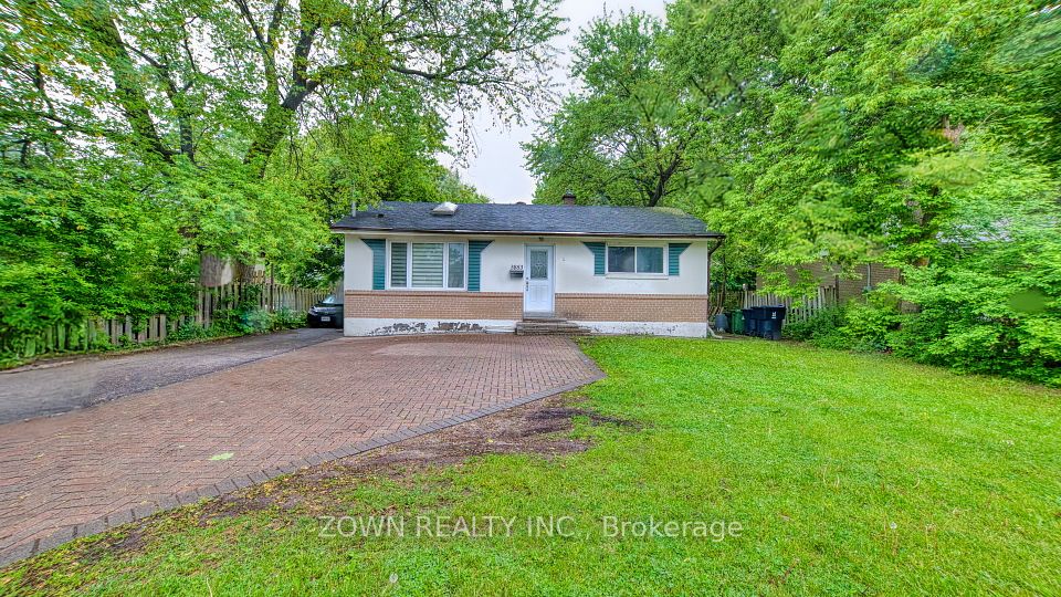 3853 Finch