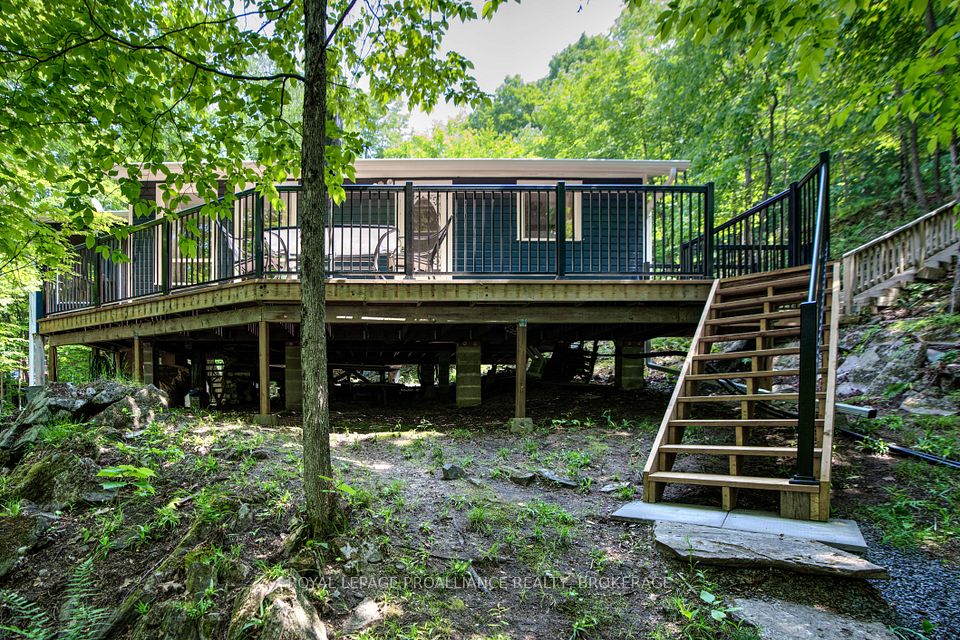 35B Whippoorwill