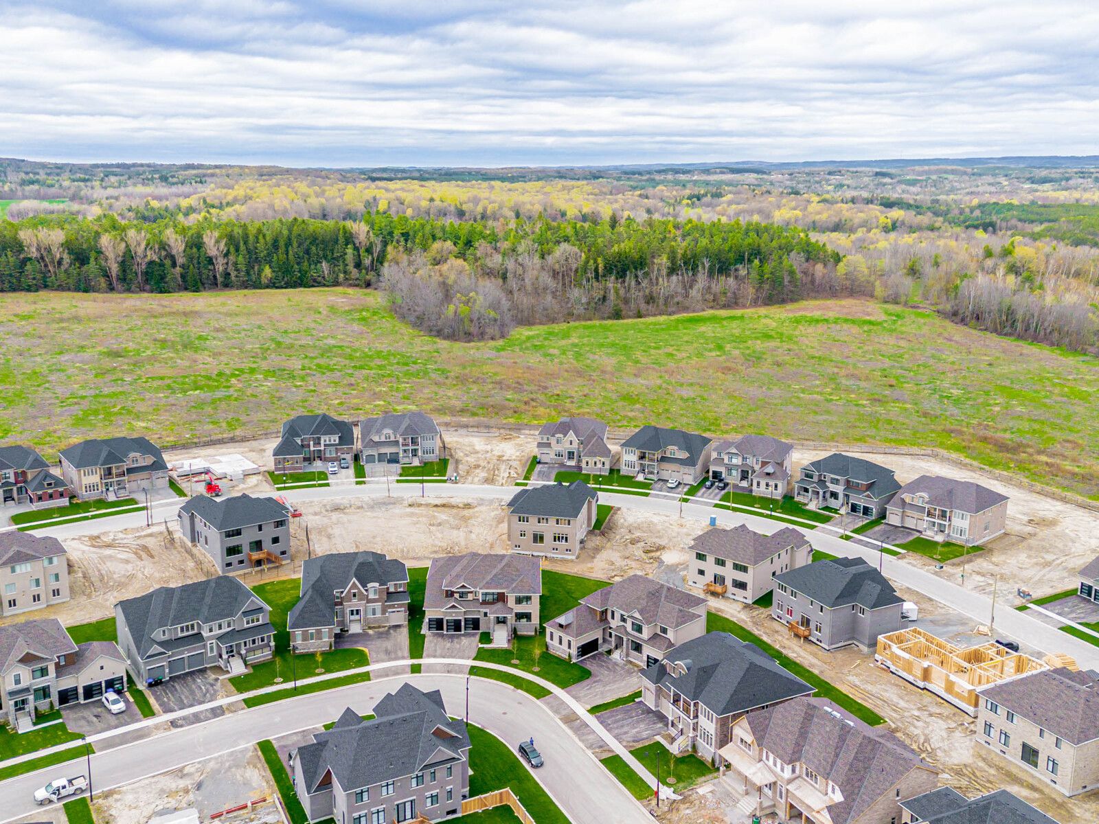 20 Twinleaf Crescent