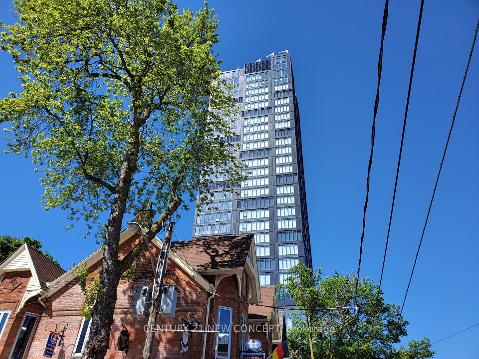 203 College Street