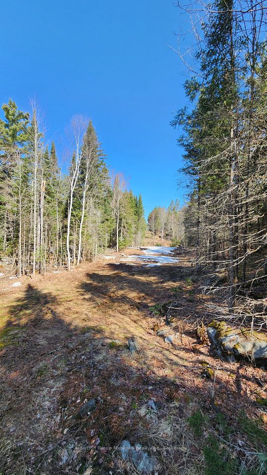 00 Red Pine Trail, Bracebridge, ON P0B 1L0