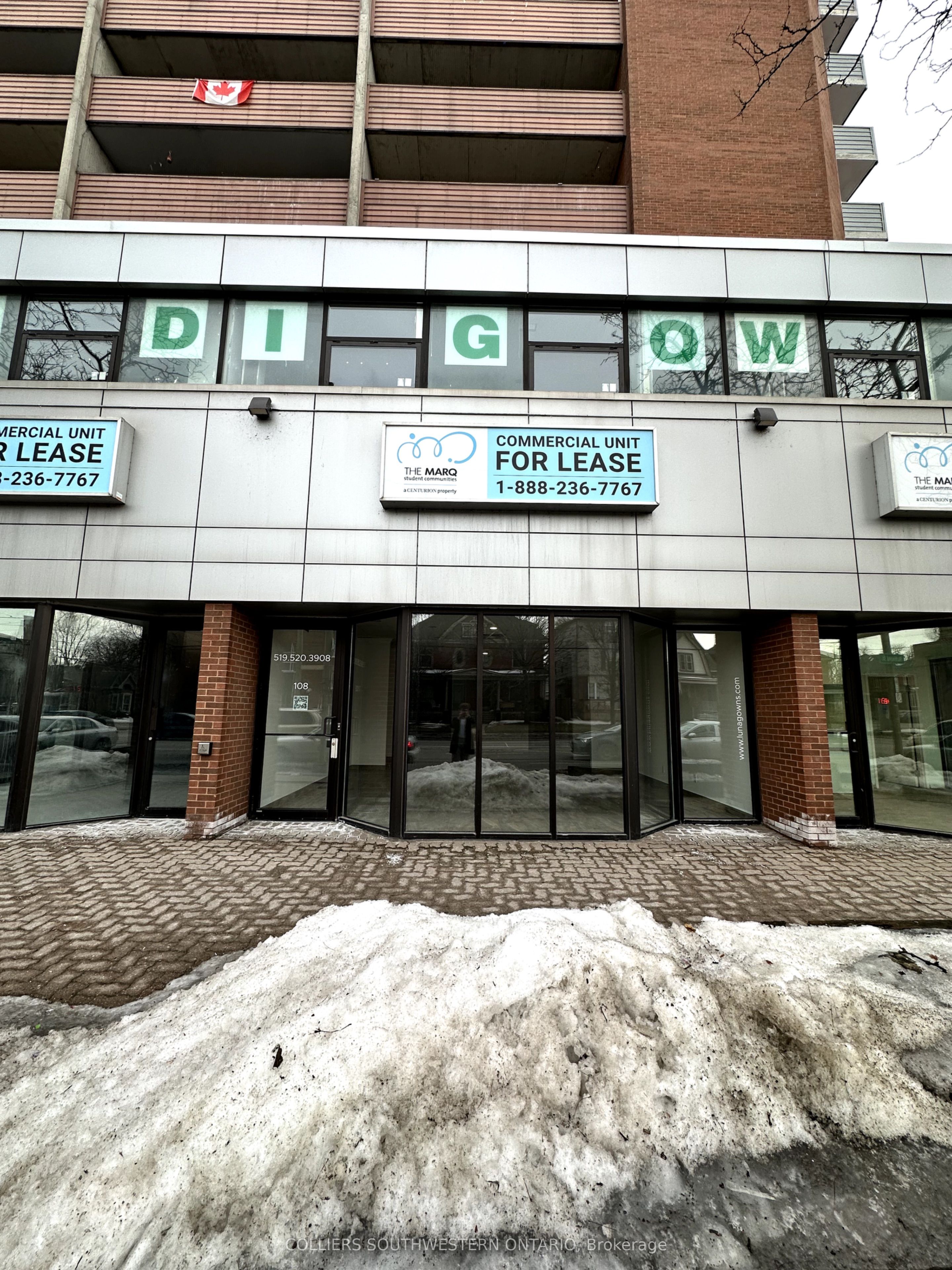205 Oxford Street E, #C108