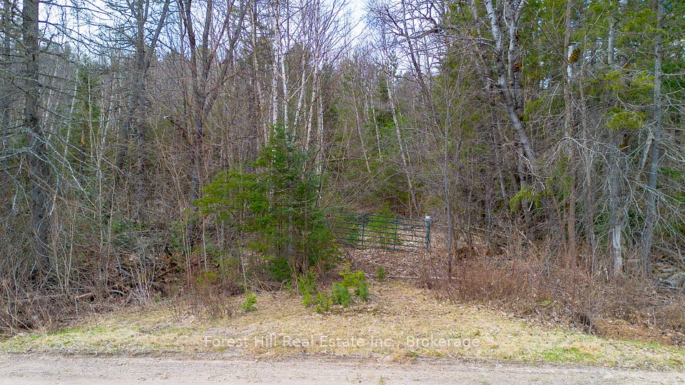 1160 Chetwynd