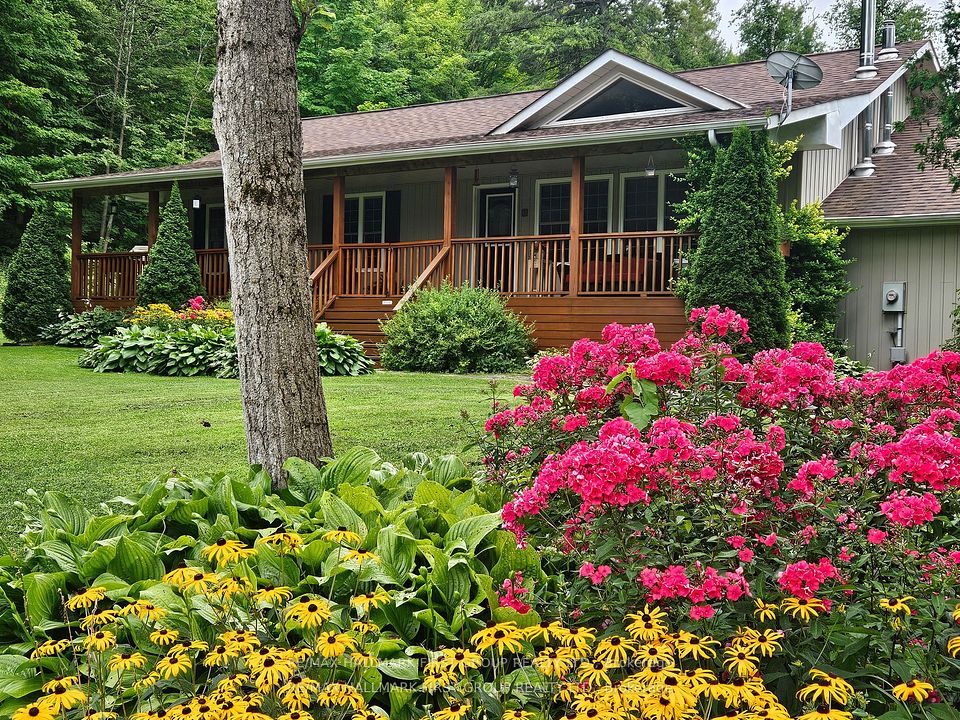 715 Whitebirch