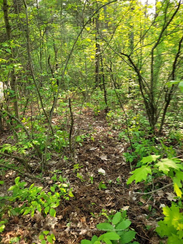 00 South Portage