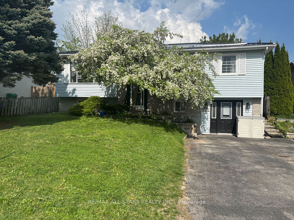 2431 Mountland