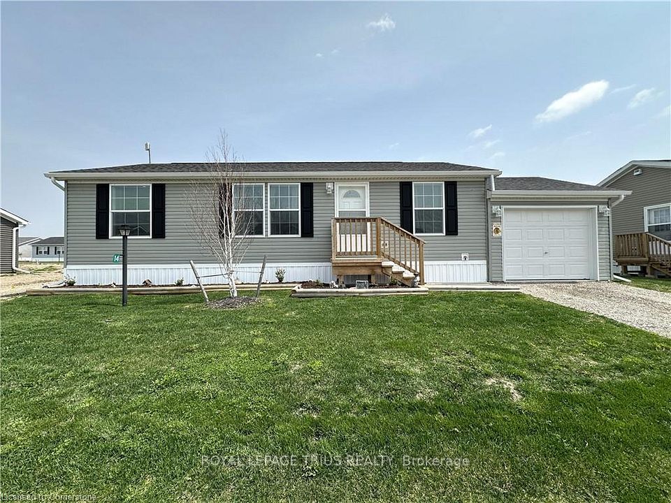 14 Copper Beech
