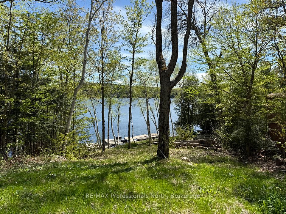 2612 Wilkinson