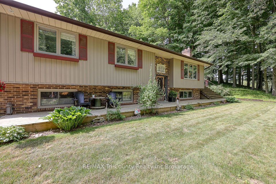 50 Rokeby