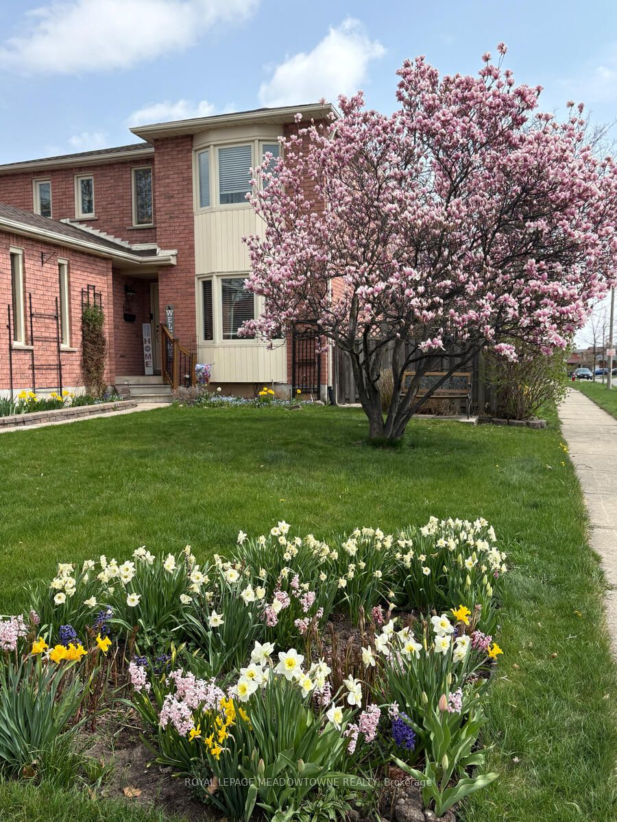262 Murray Street