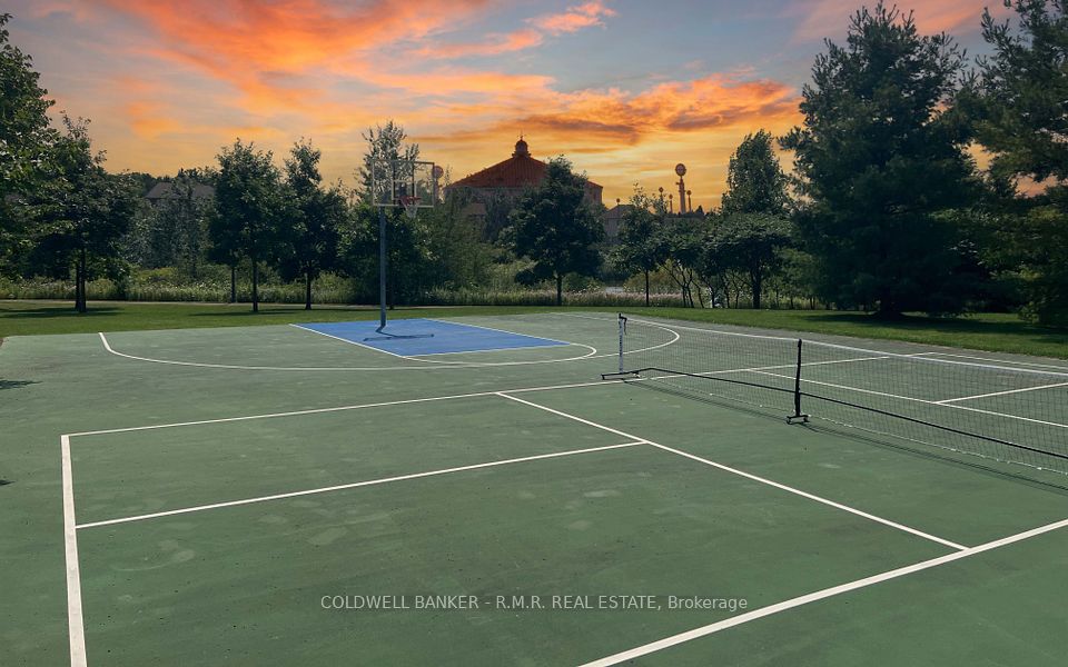 Sports Court (Basket Ball, Net Ball)