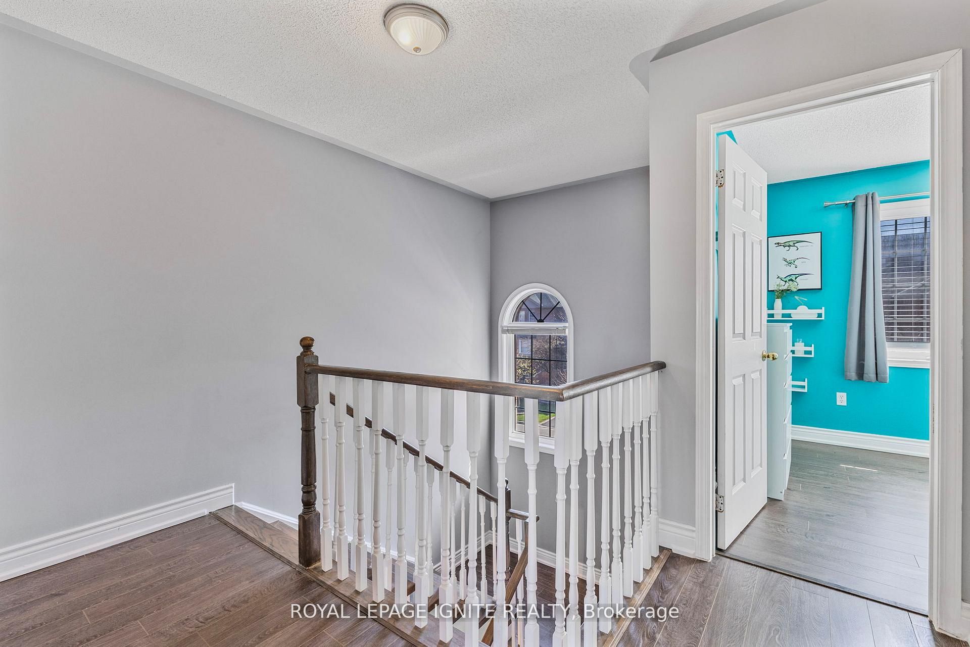 12 Eli Shackleton Court