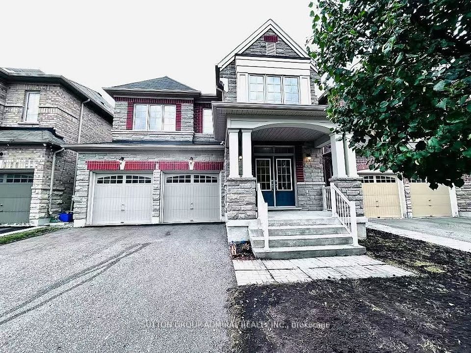 81 Livante