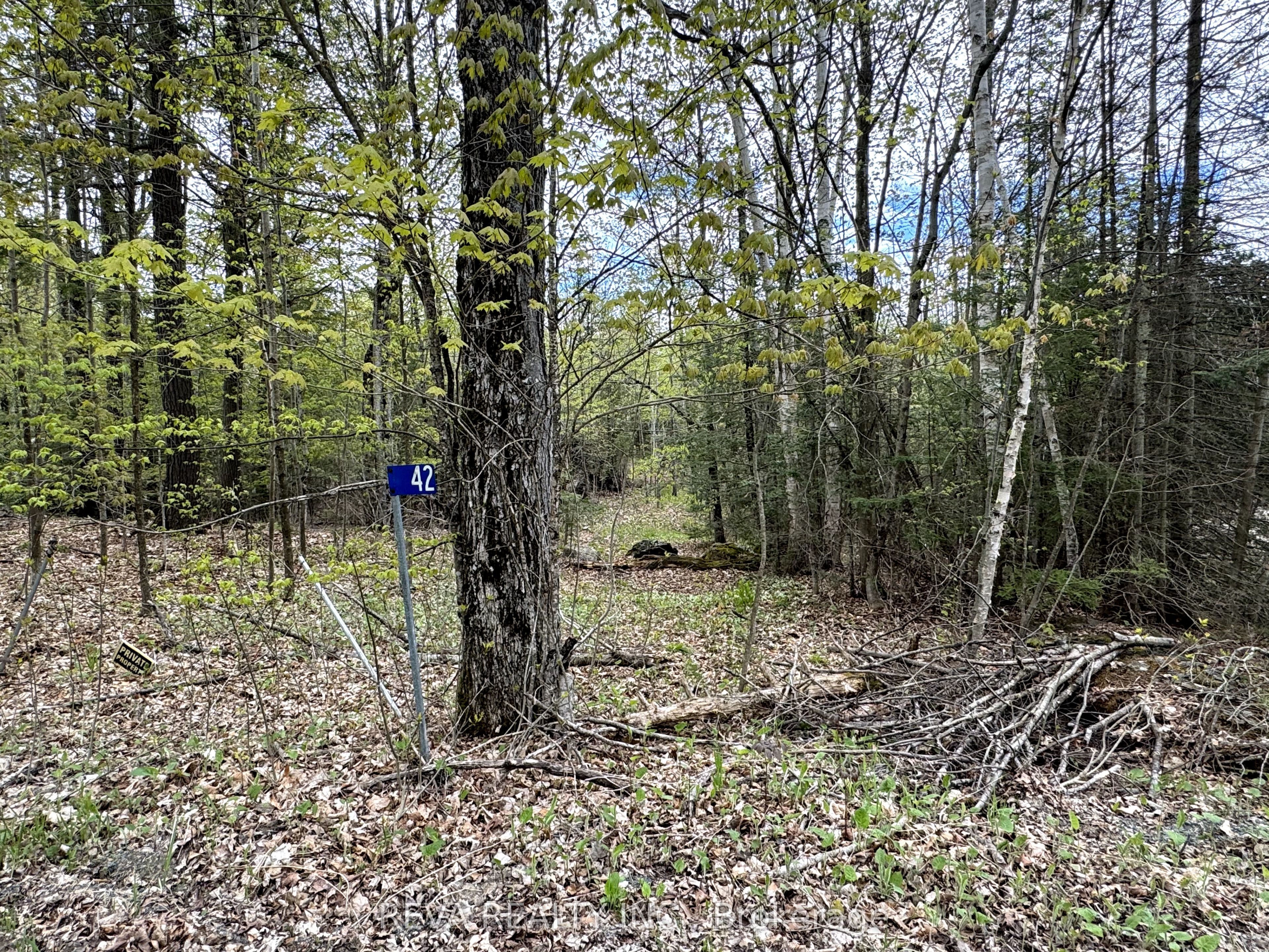 42 Clear Lake Court, Marmora and Lake, ON K0L 1W0