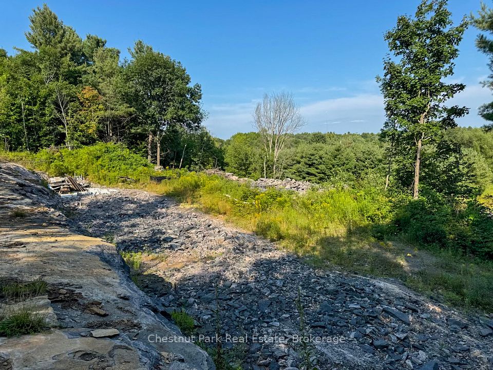 1681 MUSKOKA BEACH