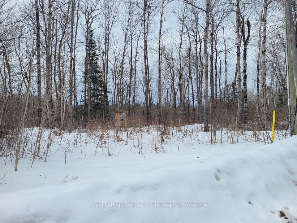 44 POPLAR Road, Papineau-Cameron, ON P0H 1V0