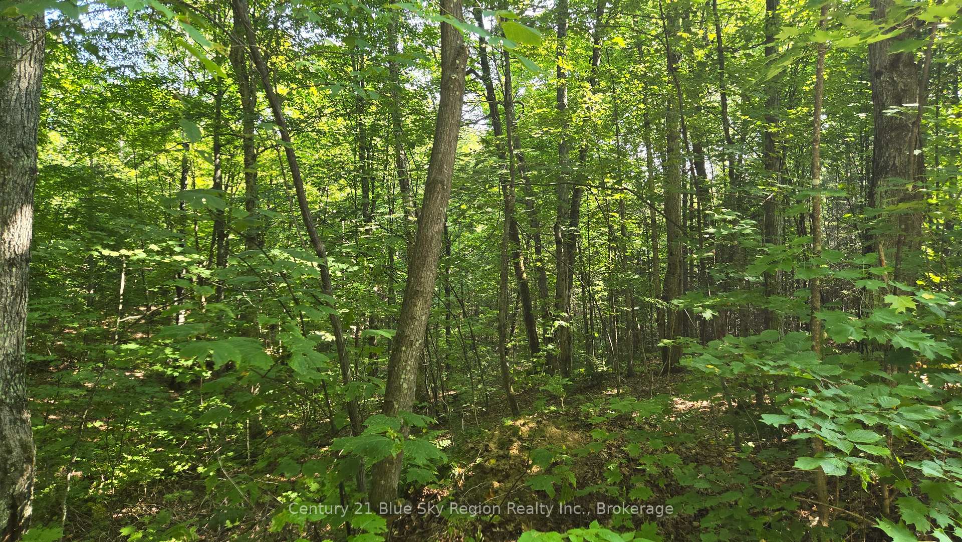 Lot 13 Con 2 ; MLS ID: X12146603