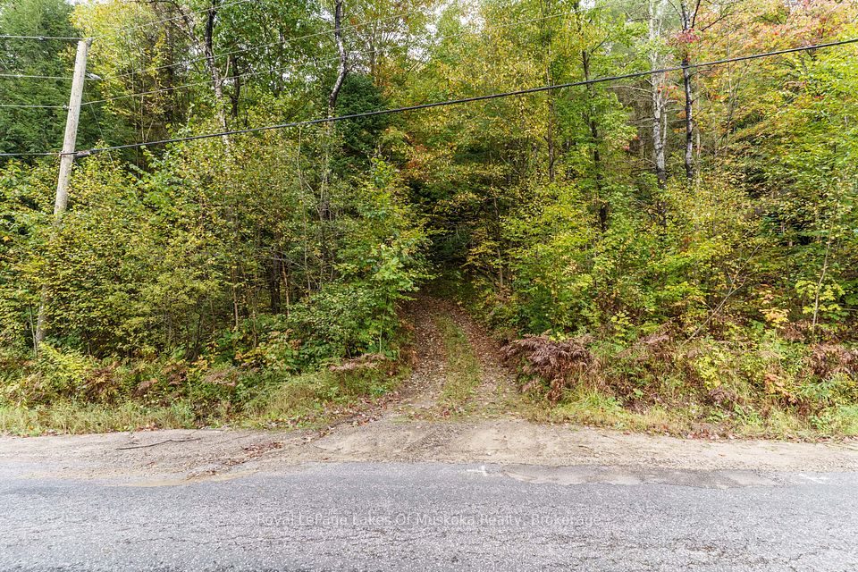 1059 Livingstone Lake Rd