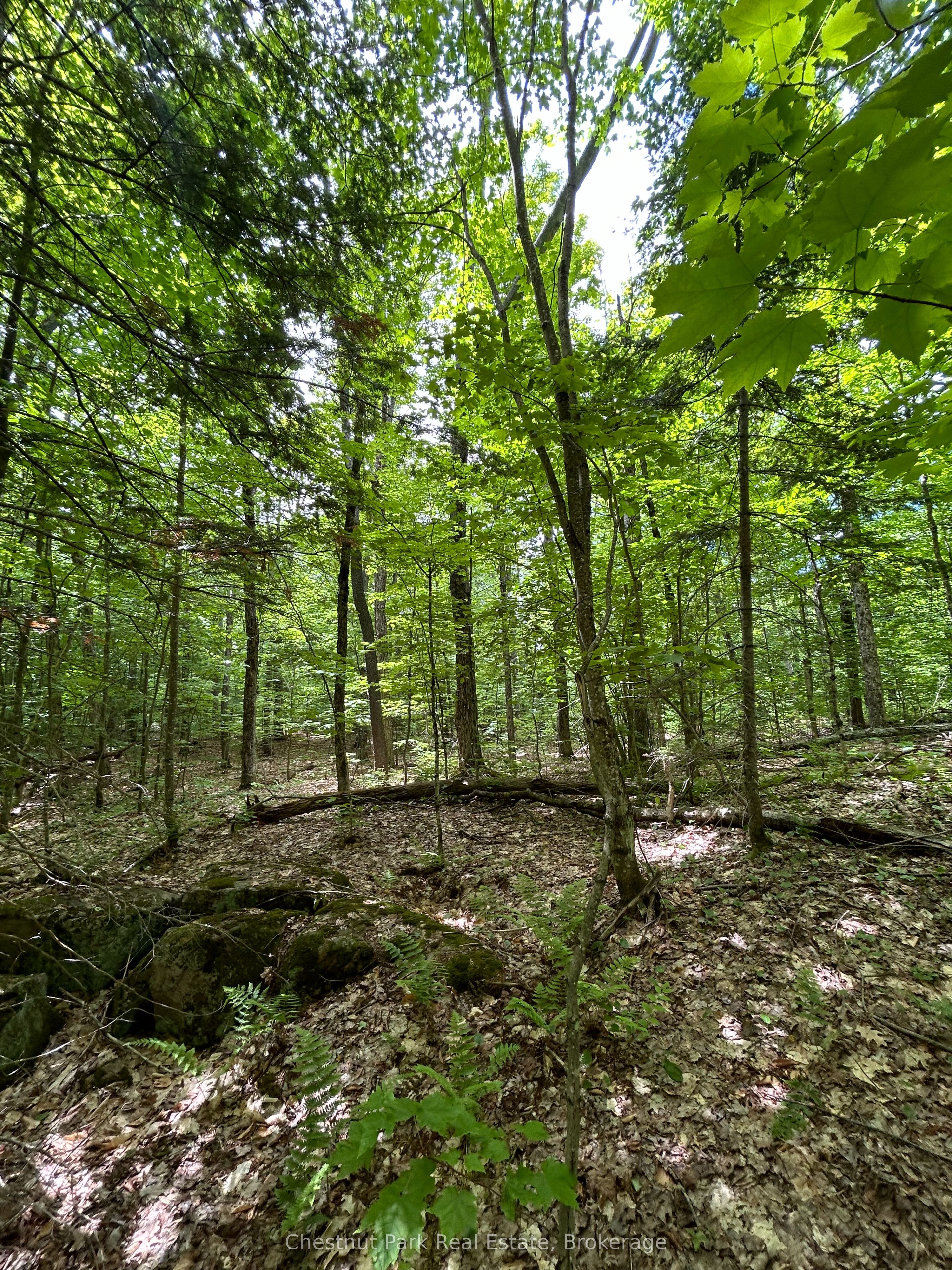 1104 STARRATT Road, Ryerson, ON P0A 1C0