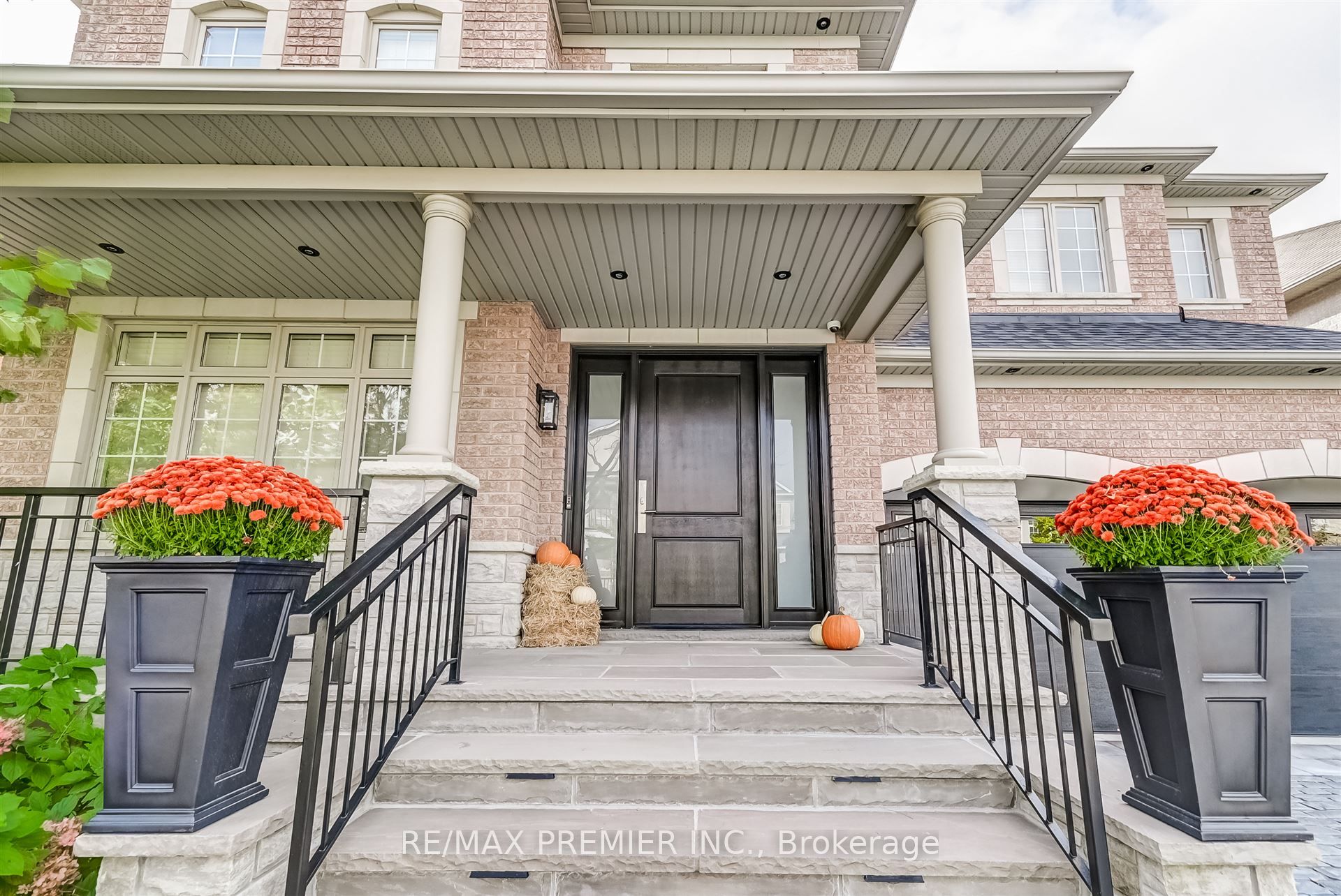 50 Basilica Drive