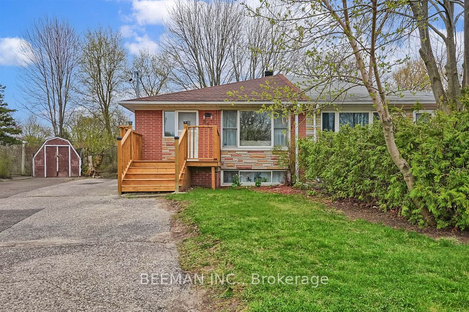 277 Silverbirch