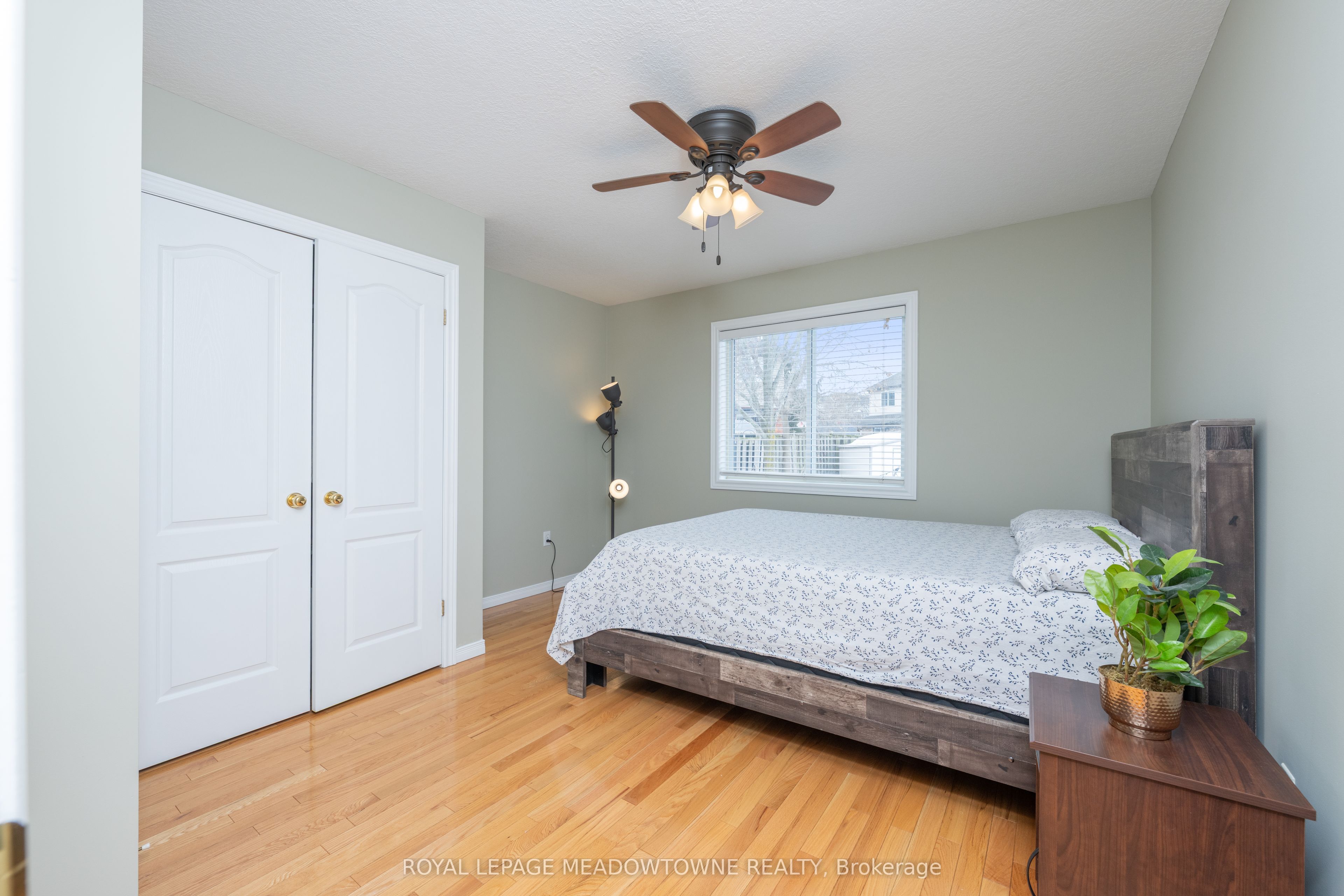 14 Costigan Court