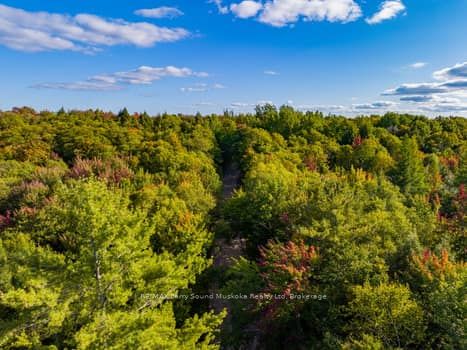 0 AXE LAKE Road, McMurrich/Monteith, ON P0A 1Y0