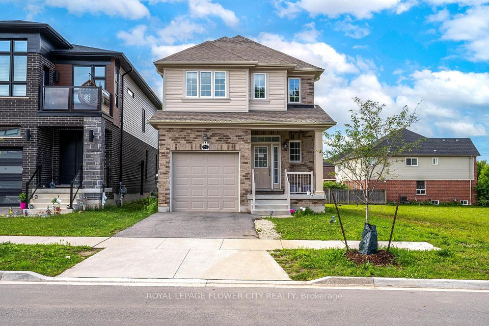 52 Monarch woods