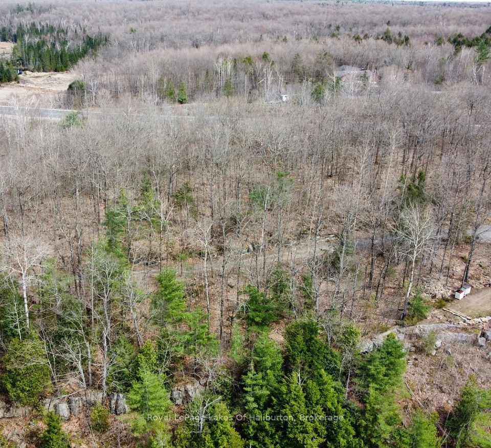 0 Starlight Road, Minden Hills, ON K0M 2K0